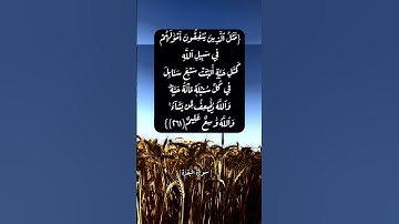 سورة البقرة الآية ٢٦١ الى ٢٦٣ بصوت الشيخ ماهر المعيقلي