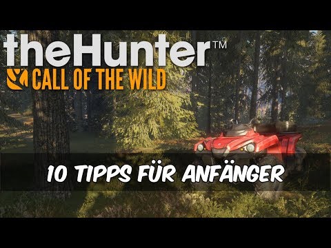 theHunter Call of the Wild - 10 Tipps für Anfänger