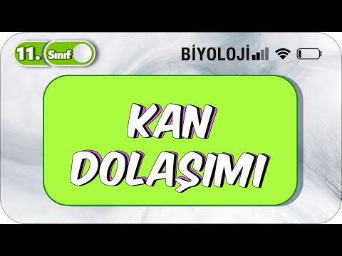 Kan Dolaşımı  | Tek Videoda Anlatım | 11. Sınıf Biyoloji  #2023