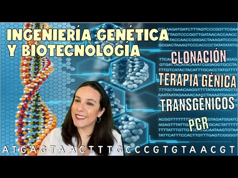 Vídeo: Diferencia Entre Ingeniería Genética Y Modificación Genética