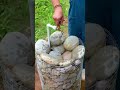 You’ll Never Garden The Same After Learning These Clever Little Hacks