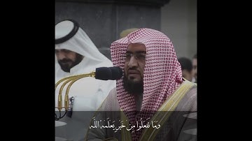 آيات الحج|د.بندر بليلة