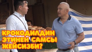 КРОКОДИЛДИН ЭТИНЕН самсы жейсизби?