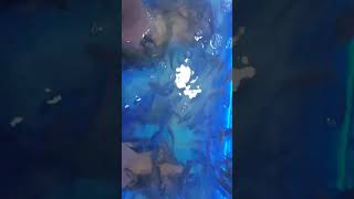 Spa Circulation Skin Cleaning