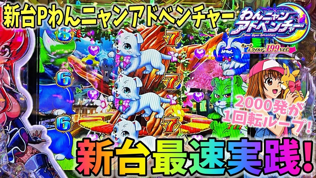 新台わんニャンアドベンチャー ヒゲパチ 第1430話 久しぶりの新台最速実践！どうなる？最新台Pわんニャンアドベンチャー実践！