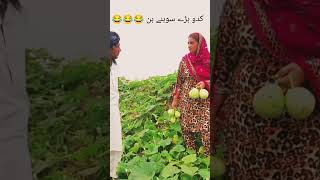 Very Best Funny Video