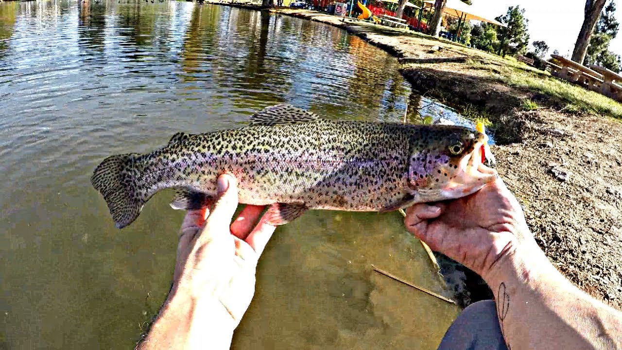 Mini Jigging for Trout - How I Catch Trout Using this Technique 