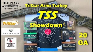 Tristar 20 Gauge Review and TSS Pattern Testing  Great Turkey Rig
