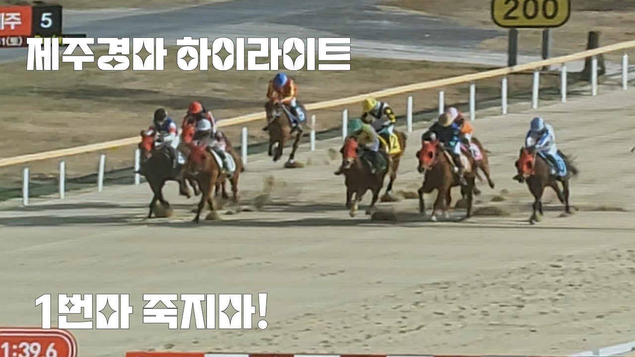경마는 간절히 바라면 안된다?