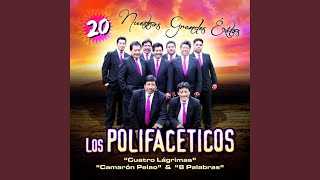 Video thumbnail of "Los Polifacéticos - Camarón Pelao"