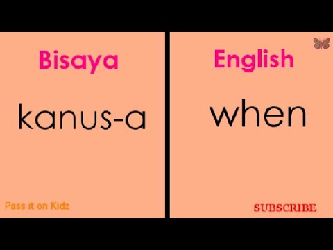 Basic Bisaya Questions with English Translation