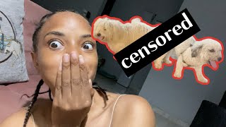 I CAUGHT MY DOG DOING..... | ROCHELLE VLOGS