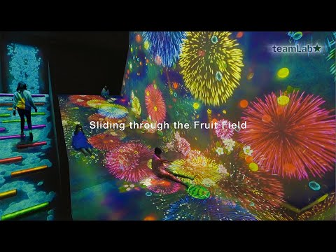 Sliding through the Fruit Field