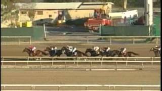 Nobiz Like Shobiz - 2006 Remsen (G2)