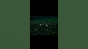 ما تيسر من سورة القيامة 🌸