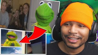The best of Kermit on Omegle (so far) | what is that?