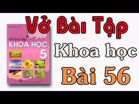 Video VỞ BÀI TẬP KHOA HỌC LỚP 5 BÀI 56 SỰ SINH SẢN CỦA CÔN... - YouTube