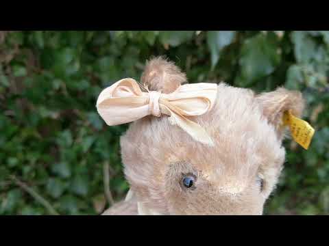 How To Tell The Date Of A Vintage Steiff Original Teddy Bear