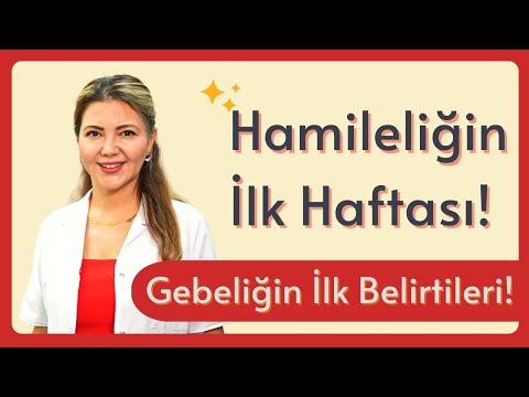 Hamileliğin İlk Haftası! Gebelik İlk Belirtileri! I Op. Dr. Azer Aras Uluğ