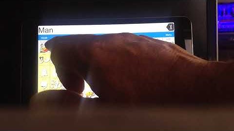 LAMP Words for Life transfer phonics pages to existing vocabulary