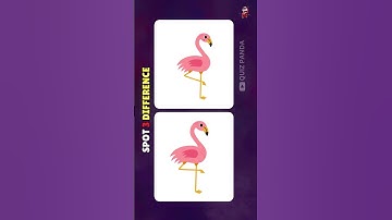 Spot The Difference : Only Genius Can Find The Differences