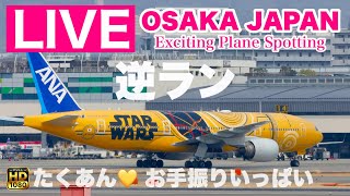 🔴 LIVE OSAKA ITAMI Airport ( JAPAN ) 2025/4/6 大阪伊丹空港   ライブカメラ