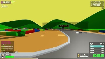 race_mariokart World Record in 13.39