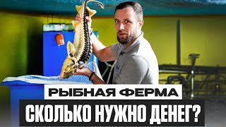 видео: Бизнес на РЫБЕ в 2025 году. Сколько ДЕНЕГ нужно для ПОСТРОЙКИ ФЕРМЫ? картинка: Бизнес на РЫБЕ в 2025 году. Сколько ДЕНЕГ нужно для ПОСТРОЙКИ ФЕРМЫ?