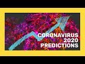 Day 30 - Coronavirus Infection Rate Math/Predictions