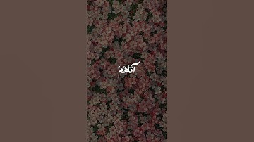 القران الكريم #اكسبلور #القرآن_الكريم #المصحف #اكسبلور_explore #الرحمن #تيك_توك #explore #السعودية