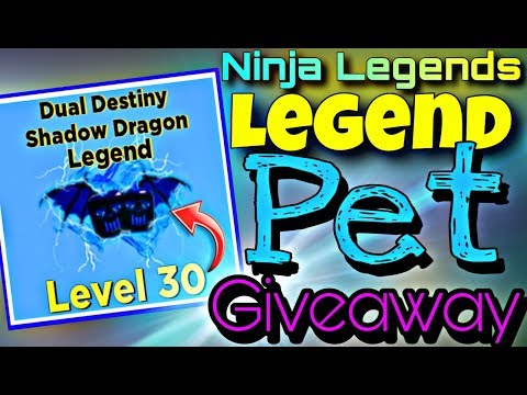 Massive Legend Pet Giveaway On Ninja Legends Roblox Live Youtube - another roblox pet giveaway ninja legends youtube