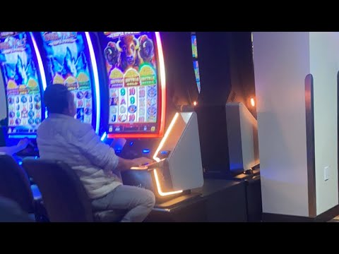 Ο ΛΟΥΙΣ ΦΑΝ ΧΑΑΛ ΓΙΑ ΠΑΥΛΙΔΗ #novibet