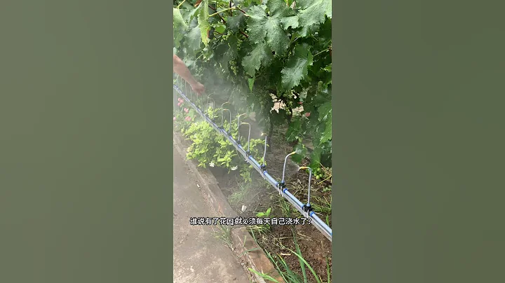 谁说有了花园就必须每天自己浇水了？装个喷灌浇水器不就解决了吗？几十块钱就能买到！省时省力，每天都用得着！便宜又方便！#浇水#庭院#院子 - 天天要闻