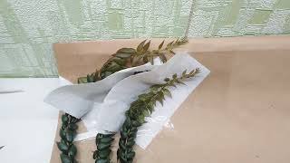 Columnea arguta. Как я пакую некоторые сложные для отправки варианты растений.