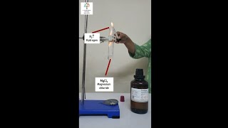 Reaction of Magnesium with HCl