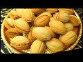 مطبخ ام وليد حلوة الجوزة مقرمشة تذوب بحشو معلك و بنين 