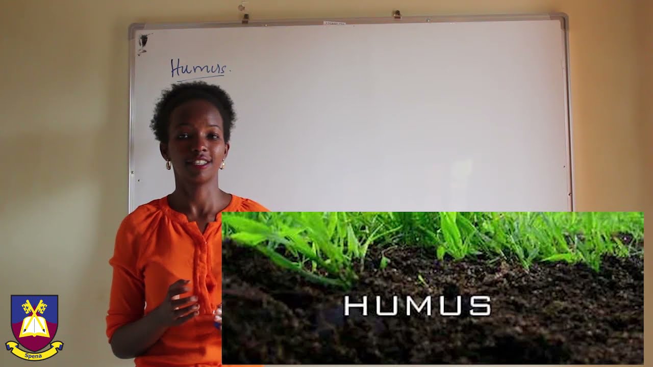 Senior Two Biology (SOIL PART 3)