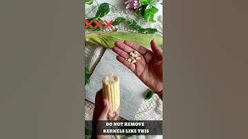 A PERFECT WAY OF REMOVING CORN KERNELS