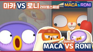 [Maca&Roni] ★ compilation ★ | 싸우면서 크는(?) 악동들 몰아보기! | MACA vs RONI | 마카VS로니