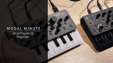 Modal Minute #26 – Polychain SKULPTsynth SE and SKULPT