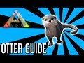 Otter Guide for Ark: Survival Evolved