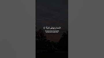 وأصبر على ما يقولون وأهجرهم هجراً جميلا | القارئ عبد الرحمن مسعد | قرآن كريم ..♡
