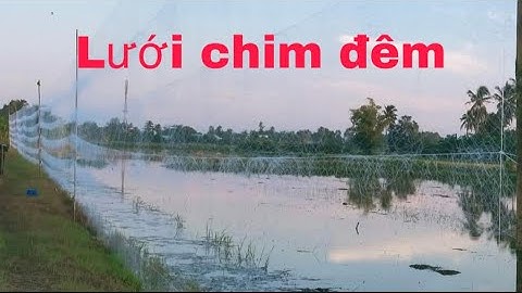 Lưới Bẫy Chim Tổng Hợp 7 phân/ Anh em tham khảo