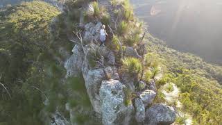 Springbrook Pinnacle Ascent and Flyover