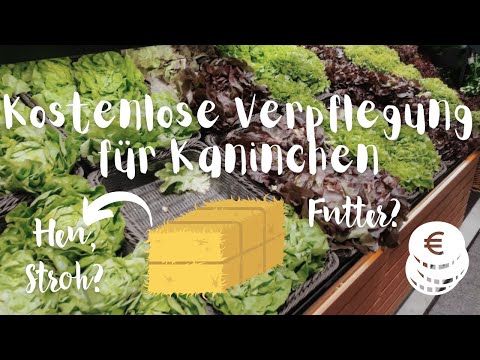 Wo ich gratis Heu, Stroh, Futter & Co. für meine Kaninchen bekomme // Tipps