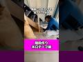 階段作り 木口テープ編#リフォーム #工務店 #shorts #fyp