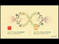 Red vs Far Red Light