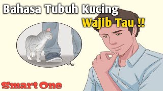 Download Lagu Cara Berkomunikasi dengan Kucing | Bahasa Tubuh Kucing MP3