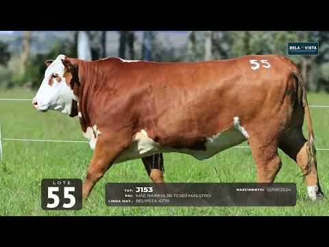 55 J153