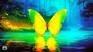 If this video appears in your life  you are ready for love, wealth and blessings  butterfly effect